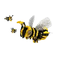 Jeu de construction "la Reine et ses copines" - 562 pièces