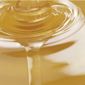 Sirop de nourrissement Trim-o-bee Extra VRAC - 14 kg 