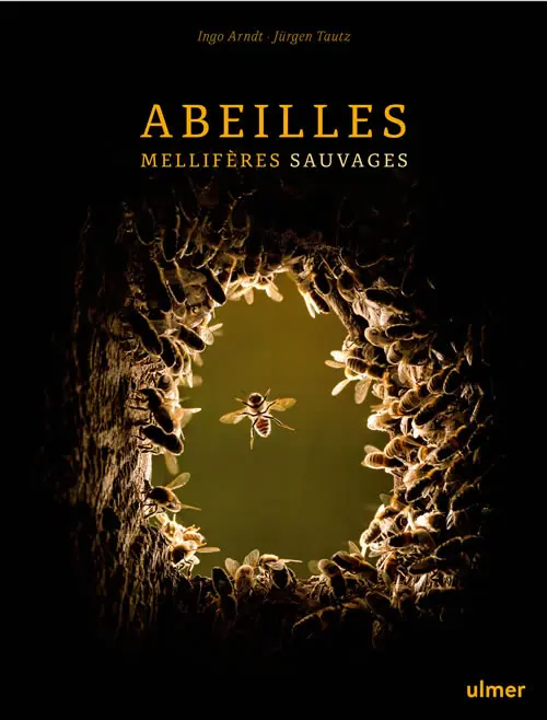 Abeilles mellifères sauvages - Arndt Ingo et Jürgen Tautz 