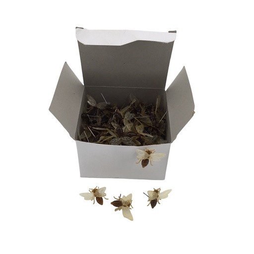 [13685] Epingles Abeille  (100 pcs)