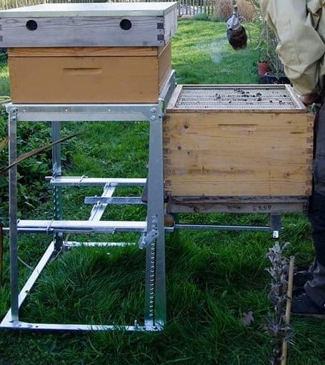 [Apibee12 STP] Ergonomiel 12 cadres