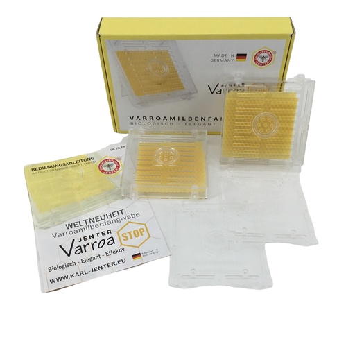 [49995STP] Jenter Varroa