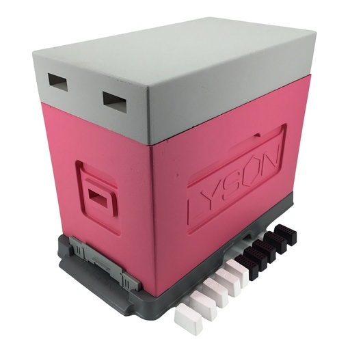 Ruchette d'élevage PEINTE Lyson - new model 2020