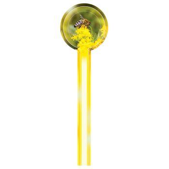 [BA218] Bande de garantie ronde - "Vert et jaune"