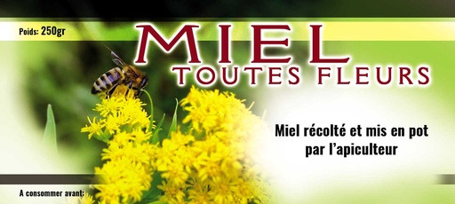 [STP] Etiquettes MIEL toutes fleurs - "Fleurs jaunes" 250gr
