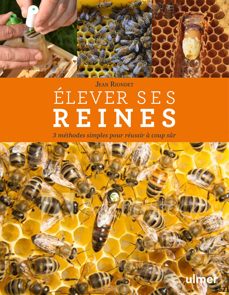 OTOTEC Lot De 4 Vannes D'Arrêt En Nylon Pour Extracteur De Miel - Robinet Apiculture Robuste Et Alimentaire