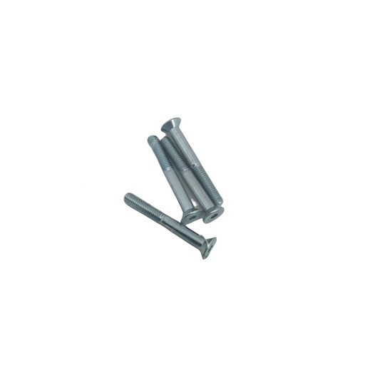 [AR00018] Vis de remplacement pour Apisolis