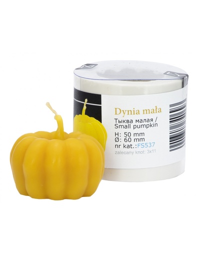 [FS537] Moule à cire pour bougie - "PETIT POTIRON"