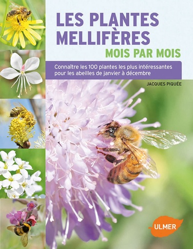[9782841387052] Les plantes mellifères mois par mois