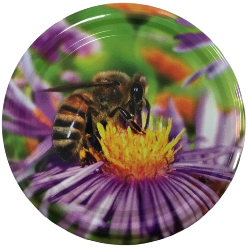 [Honey 19] Couvercle TO 82 ASTER MAUVE sur fond vert - 700 pièces