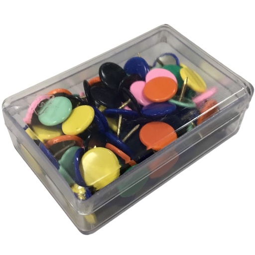 [4776] Punaises multicolores