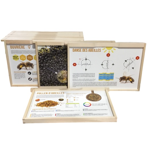[EDUK_FR] Kit de 24 fiches pédagogiques sur cadre