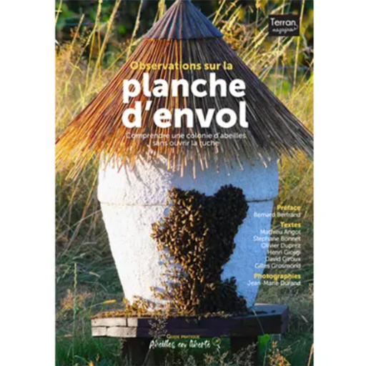 [AEL/HSOBS] Observations sur la planche d'envol