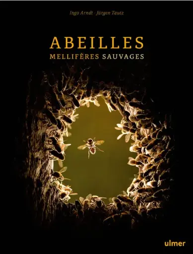 [9782379221743] Abeilles mellifères sauvages - Arndt Ingo et Jürgen Tautz