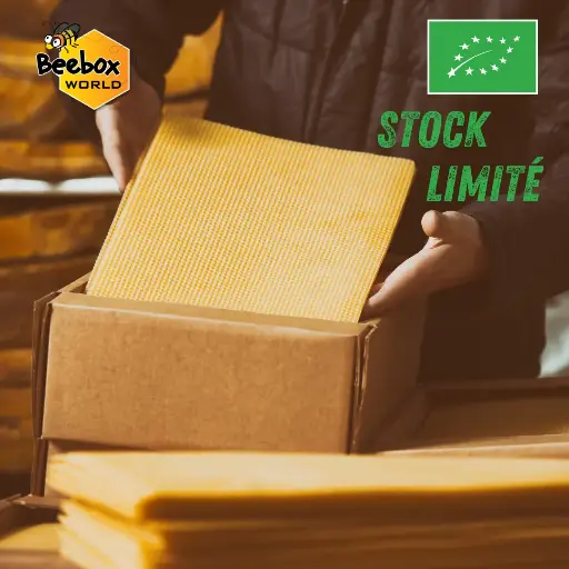 [ROU2401/10] 10 feuilles de cire**** BIOLOGIQUE - corps DADANT  