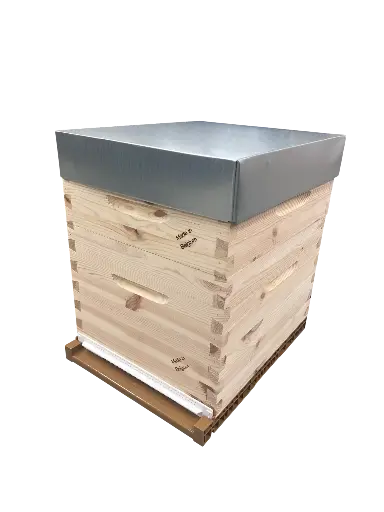 [SYLVA] Ruche Dadant 10 cadres SYLVABEL avec fond Nicot