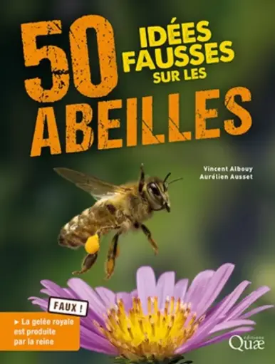 50 idées fausses sur les abeilles 
